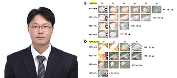경북대·ETRI·KAIST, ‘불 안 붙는 전해질’ 설계 원리 규명