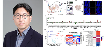 치과대학 연구진, 세균 유래 세포밖소포체의 후각 경로 통한 기능성 RNA 뇌 전달 확인