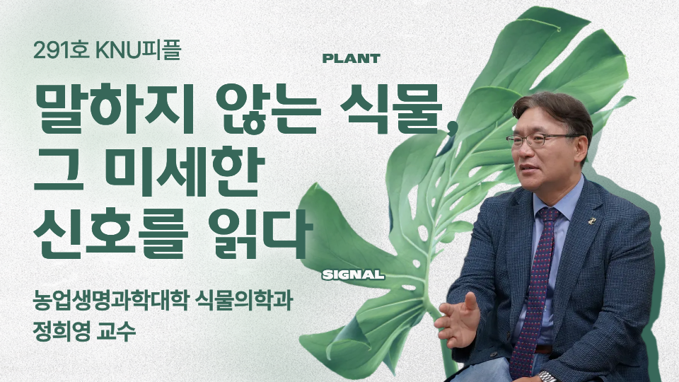 [KNU피플] 첨단 광학 기술로 식물병을 미리 발견하고, 맞춤형 방제법을 개발한 정희영 교수