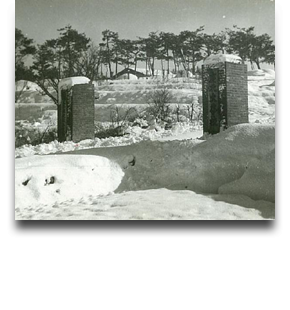초창기 경북대학교 정문